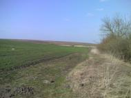 Темногайці з panoramio.com