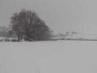 Печище з panoramio.com