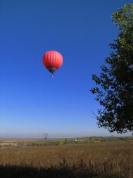 Дар'ївка з panoramio.com