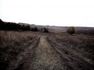 Маслії з panoramio.com