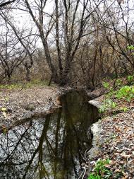 Обухів з panoramio.com - Обухов