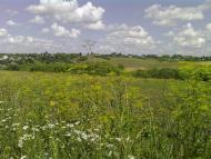 Приколотне з panoramio.com