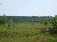 Здвижівка з panoramio.com