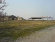 Любимівка з panoramio.com