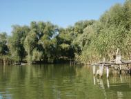 Андріївка з panoramio.com