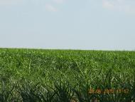 Піщане з panoramio.com