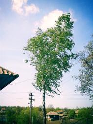 Крутеньки з panoramio.com