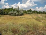 Шелюги з panoramio.com