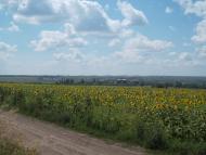 Панкратове з panoramio.com