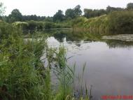 Вариводки з panoramio.com