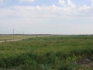 Ковське з panoramio.com