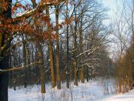 Волиця з panoramio.com