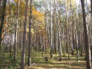 Зазим'я з panoramio.com