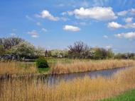 Вільний Посад з panoramio.com