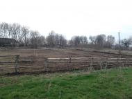 Рогачі з panoramio.com