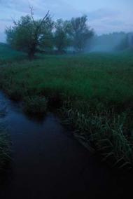 Малоянисоль - Останні фото