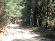 Дівички з panoramio.com