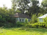 Тарноруда з panoramio.com