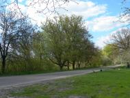 Новостав з panoramio.com