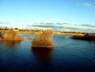 Шахтарське - Останні фото