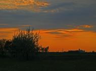 Чапаєвка з panoramio.com