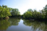 Половинкине з panoramio.com