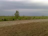 Борохів з panoramio.com