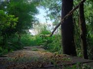 Юрчиха з panoramio.com