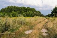 Тростянка з panoramio.com