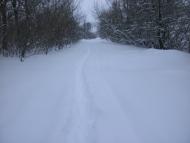 Забріддя з panoramio.com - Zabriddya