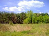 Черкаське з panoramio.com