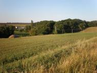 Липовеньке з panoramio.com