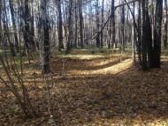 Климентовичі з panoramio.com