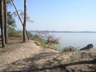 Стовп'яги з panoramio.com