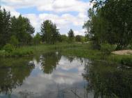 Толокунь з panoramio.com