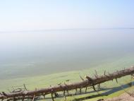 Стовп'яги з panoramio.com