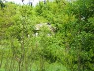 Пшеничники - Останні фото