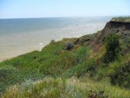 Партизани з panoramio.com