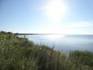 Дівички з panoramio.com