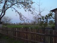 Чайківка з panoramio.com