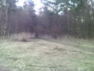 Темногайці з panoramio.com