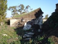 Леніна - Останні фото