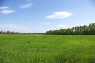 Половинкине з panoramio.com