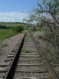 Плавні з panoramio.com