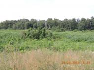 Піщане з panoramio.com