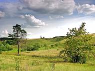 Прелесне з panoramio.com