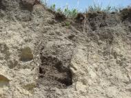 Пронозівка з panoramio.com