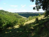 Борсуки з panoramio.com