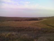 Темногайці з panoramio.com