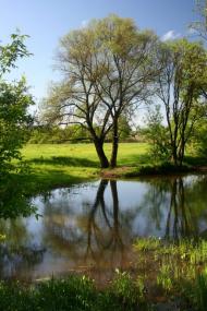 Пересічна з panoramio.com